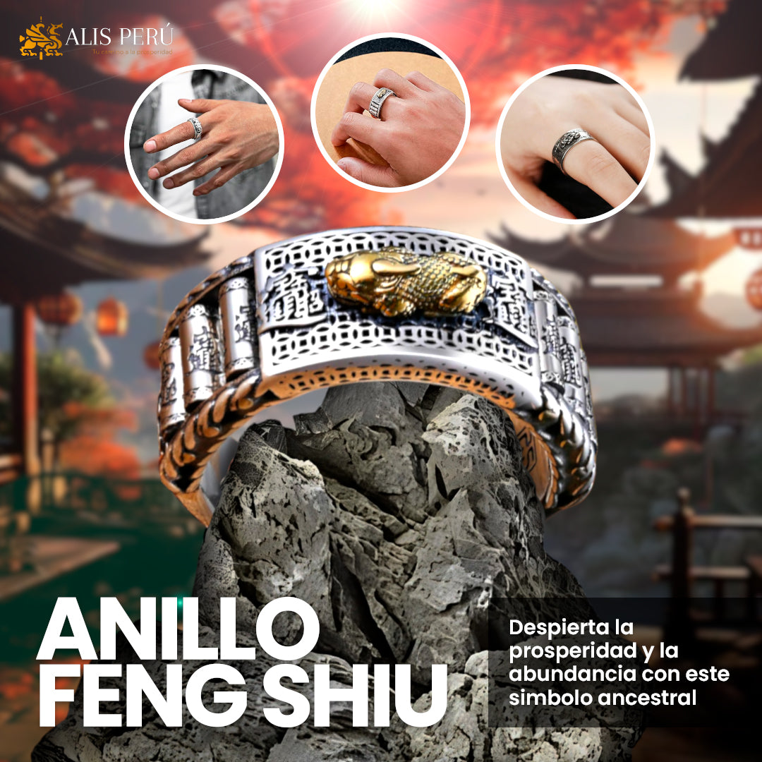 Anillo Feng Shui 🐉 + Guia Pixiu 📖 + Monedas de la fortuna 💰